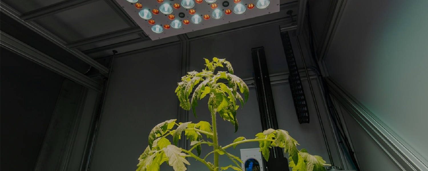 phenovation agrochemical