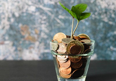 IMVS assetmanagementsoftware low code