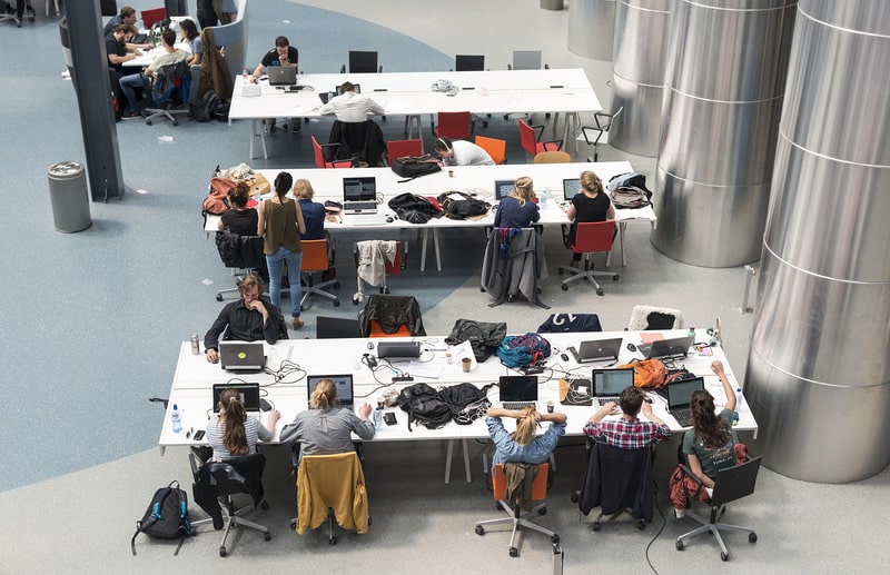 your organization needs case management