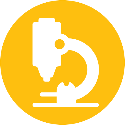 Key insight market intelligence